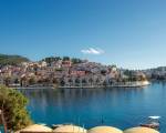 Delfin Hvar