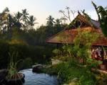 BeingSattvaa Wellness Ubud