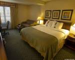 Holiday Inn Buffalo-Amherst