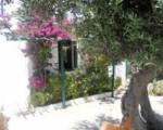 Charming House Platy Gialos