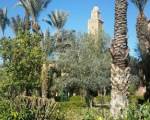 House With 3 Bedrooms In Marrakech, With Pool Access, Furnished Garden