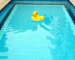 Swimming-pool