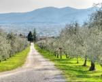 Agriturismo Il Borghetto