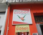 Gibbon Guesthouse - Hostel