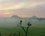 Organic Garden Sigiriya