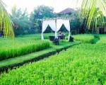 Bebek Tepi Sawah Restaurant & Villas