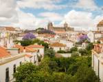 Évora Olive Hotel