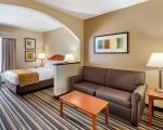 Comfort Suites Chesapeake - Norfolk