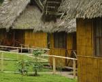 YARINA Eco Lodge