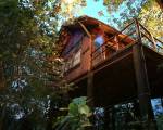 Pugdundee Safaris- Tree House Hideaway