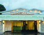 Star Tree Homestay