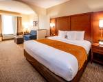 Comfort Suites near Texas Medical Center - NRG Stadium