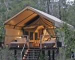 Paperbark Camp