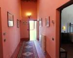 Private Villa With Wifi, Private Pool, TV, Veranda, Pets Allowed, Parking, Close to Cortona