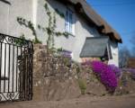 Fernside Cottage