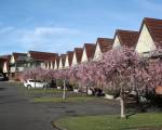 Ascot Park Hotel