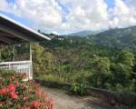 Neita's Nest - Jamaican Bed & Breakfast