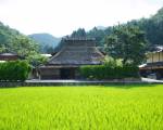 Miyama Futon & Breakfast Thatched Cottages