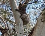 Wilsons Promontory Motel