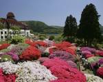 Hotel de Yama, Hakone Lake Side