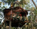 Nyuh Bengkok Tree House