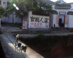 Wuyuan Qingyuan Guanting Guest House