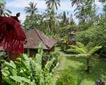 Bali Mountain Retreat