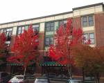 Orenco Lofts