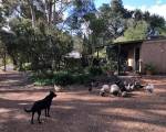 Country Cottages of Bridgetown