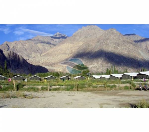 ladakh-summer-camp-nubra