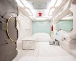 The Capsule Hotel - Hostel