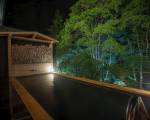 Tateshina Onsen Hotel Shinyu